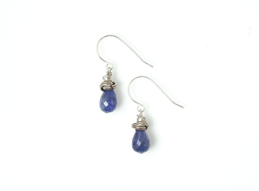 -Tanzanite- hooks