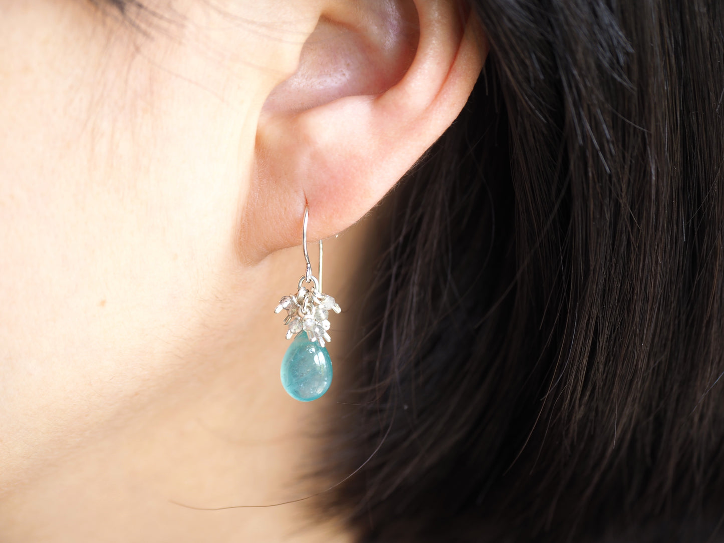 -Grandidierite・Lobradorite- silver <pierce・earrings>
